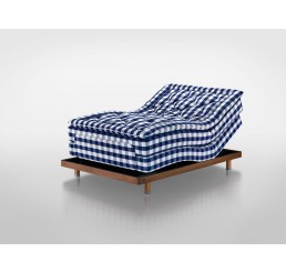 Hastens Lenoria